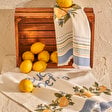 https://mncdn.bellamaison.com/mnresize/112/112/media/catalog/product/8/6/8681790161236_1_1_2.jpg