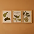 https://mncdn.bellamaison.com/mnresize/112/112/media/catalog/product/8/6/8681790169775_1_1_4.jpg