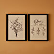 https://mncdn.bellamaison.com/mnresize/112/112/media/catalog/product/8/6/8681790169805_1_1_4.jpg