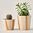 https://mncdn.bellamaison.com/mnresize/112/112/media/catalog/product/8/6/8681790194807_1_1_1.jpg
