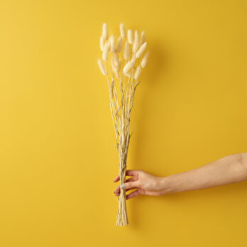 Berrow Dal Buket Naturel (60 cm)
