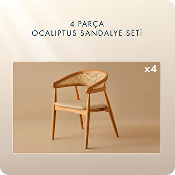 Ocaliptus Sandalye 4'lü Naturel