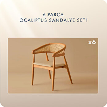 Ocaliptus Sandalye 6'lı Naturel
